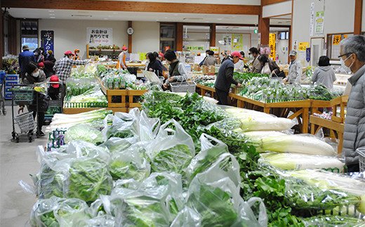 【ふるさと納税】[定期便／年4回] 袖ケ浦市の大地のめぐみ 季節のやさい詰め合わせ｜野菜 直送 [0135] - 画像2