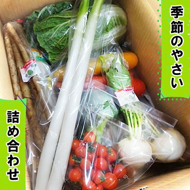 袖ケ浦の大地の恵み 季節のやさい詰め合わせ｜野菜 直送 [0038]