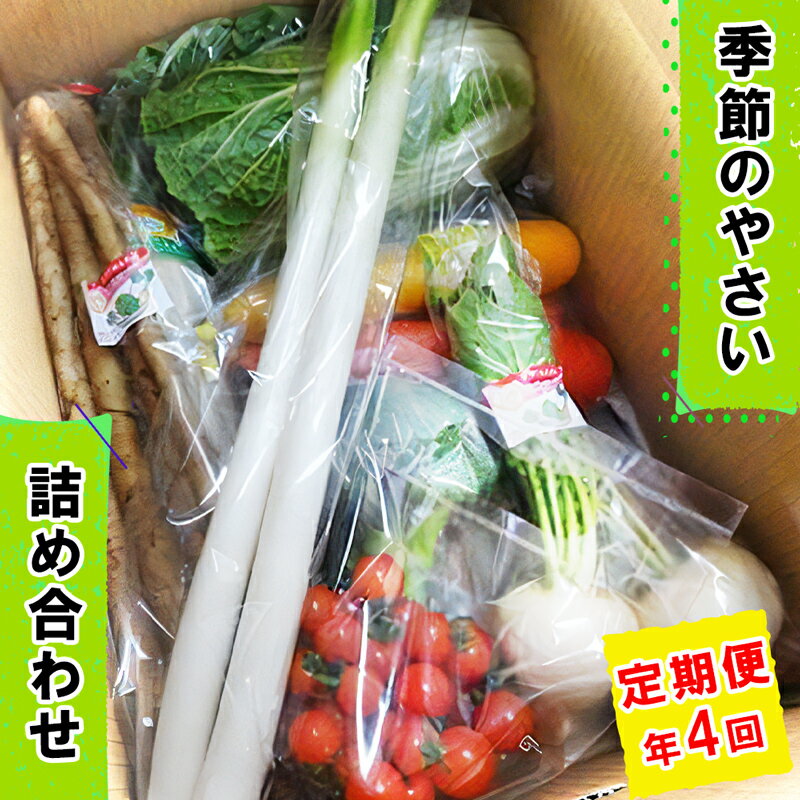 [定期便／年4回] 袖ケ浦市の大地のめぐみ 季節のやさい詰め合わせ｜野菜 直送 [0135]