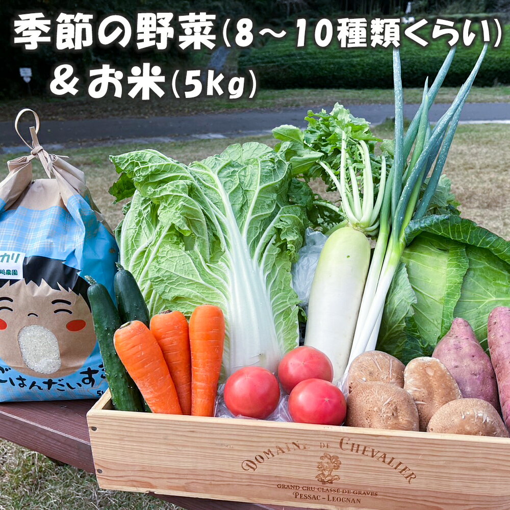季節の詰合せ 野菜の宝箱 (お米5kg入り)｜新鮮 旬 採れたて やさい 米 詰め合わせ セット 産地直送 千葉 房総 袖ケ浦 [0377]