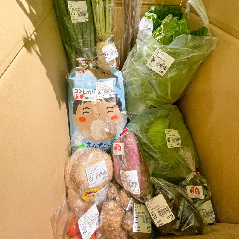 【ふるさと納税】季節の詰合せ 野菜の宝箱 (お米5kg入り)｜新鮮 旬 採れたて やさい 米 詰め合わせ セット 産地直送 千葉 房総 袖ケ浦 [0377] - 画像2