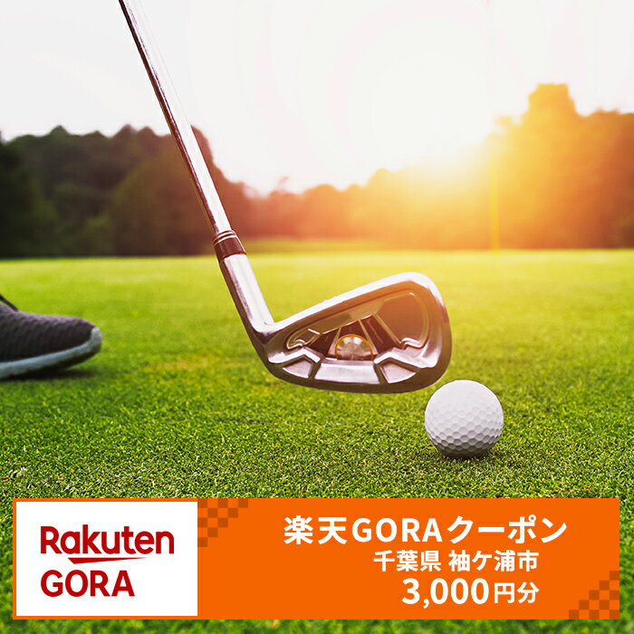 千葉県袖ケ浦市の対象ゴルフ場で使える楽天GORAクーポン 寄付額10,000円 [0440]
