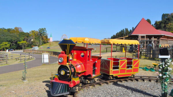 【ふるさと納税】東京ドイツ村 アトラクション1dayパスポート｜旅行 観光 あそぶ 立ち寄り スポット デーマパーク レジャー チケット 見どころ アクアライン 房総 千葉 [0626r-0631r] - 画像2
