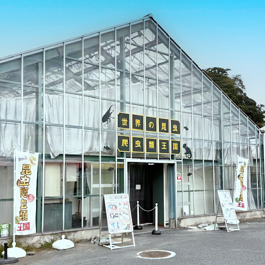 【ふるさと納税】東京ドイツ村 入園チケット 1枚＋世界の昆虫爬虫類王国 1日入場引換券｜旅行 観光 日帰り 泊り あそぶ 立ち寄り スポット デーマパーク レジャー チケット 見どころ アクアライン 房総 千葉 [0600r-0605r] - 画像2