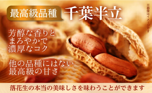 【ふるさと納税】落花生 八街市産 殻付き さや煎り 660g 千葉半立 千葉 八街 220g×3袋 らっかせい ピーナツ ピーナッツ おつまみ おすすめ 人気 楽天ふるさと納税 ふるさと納税制度 酒 ビール 健康 千葉 八街 千葉県産 国産 美味しい お菓子 ギフト やちまた - 画像2