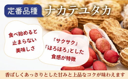 【ふるさと納税】落花生 千葉県産 八街 3種詰め合わせ 1320g ( 220g × 6袋 ) 殻付き ピーナッツ らっかせい ナッツ おつまみ おやつ お菓子 食べ比べ 国産 ギフト セット 送料無料 おすすめ 人気 楽天ふるさと納税 ふるさと納税制度 酒 ビール 健康 - 画像3