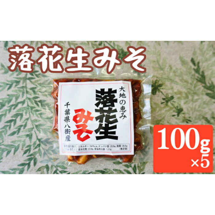 落花生みそ （真空パック） 100g × 5パック みそ ピーナッツ 落花生