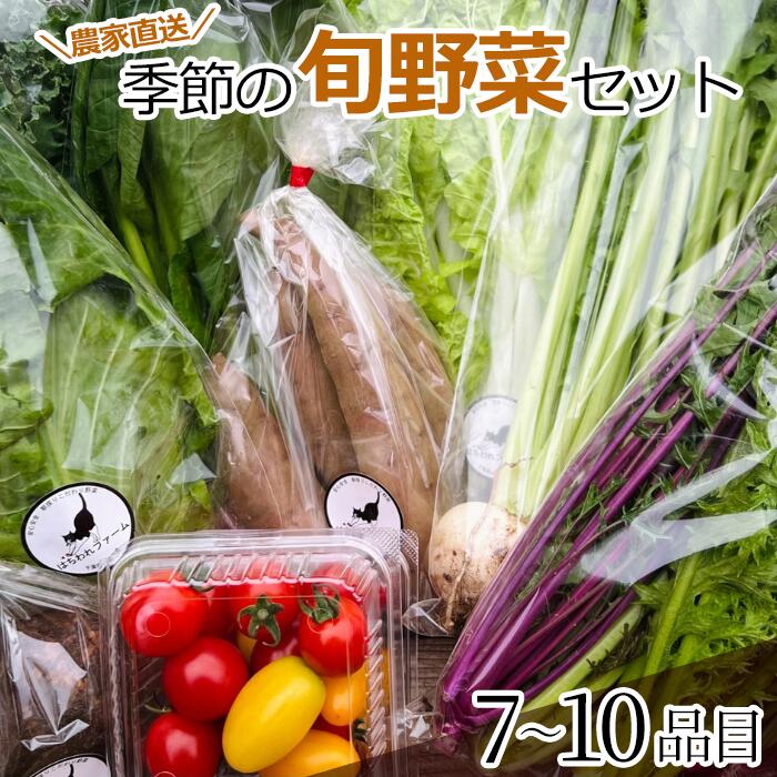 産地直送 旬の野菜セット 7〜10品 はちわれファーム 八街 千葉 野菜 やさい 旬の野菜詰め合わせ 野菜詰め合わせ