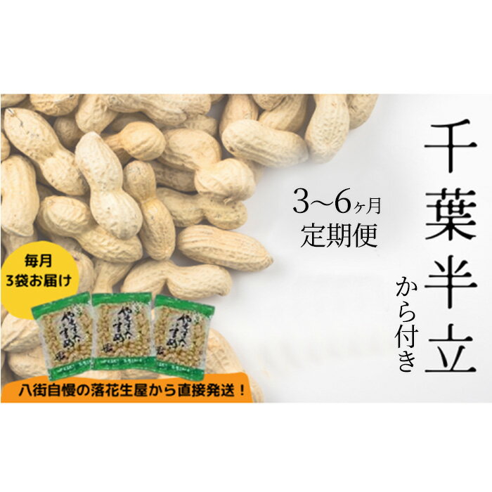 落花生 3か月 6か月 定期便 八街産 カラ付 落花生 千葉半立