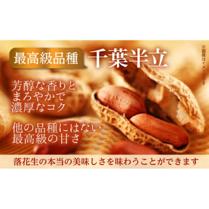 【ふるさと納税】落花生 素煎り 千葉半立 殻付きナカテユタカ 食べ比べセット バター 千葉 千葉半立 ナカテユタカ 1240g - 画像3