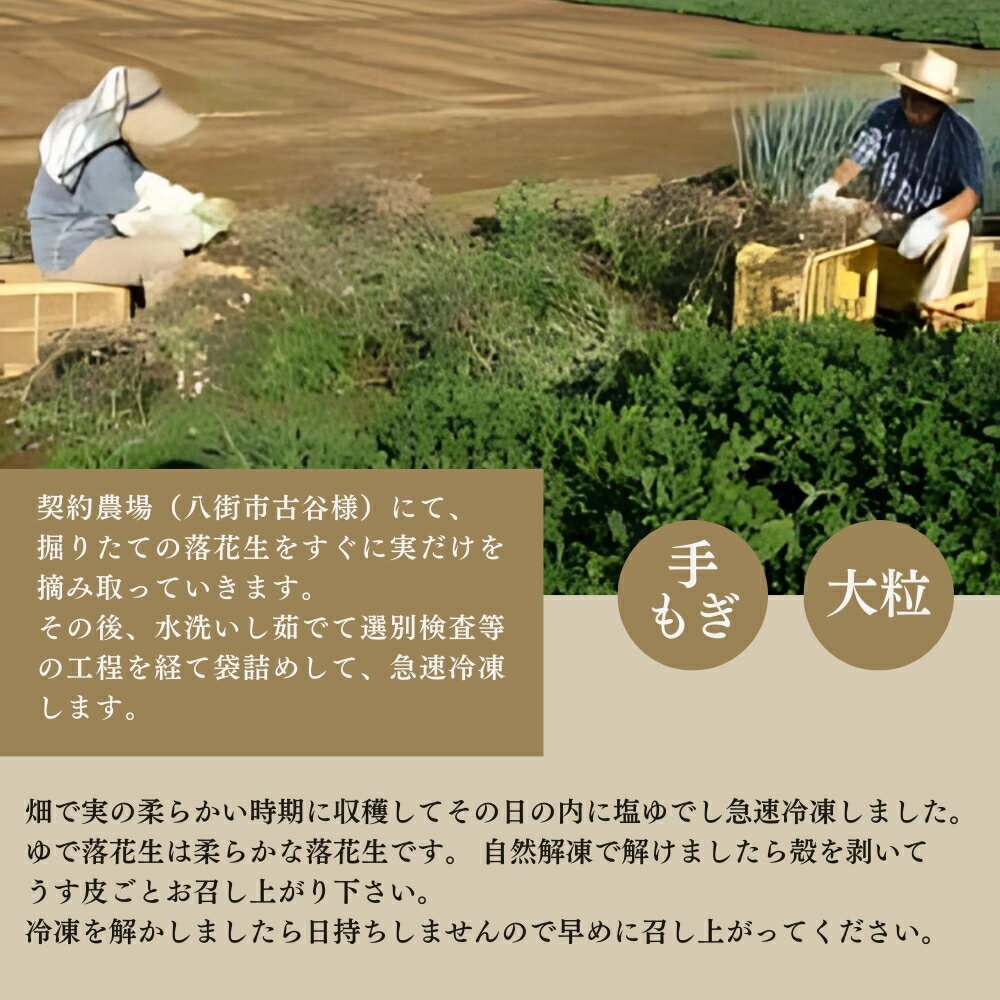 【ふるさと納税】落花生 八街産 冷凍大粒ゆで おおまさり 750g 250g×3袋 古谷さんの 手もぎ［でよしの豆］ 国産落花生 八街産落花生 八街産ピーナツ 楽天ふるさと納税 らっかせい ピーナツ ピーナッツ おつまみ おすすめ 人気 健康 千葉 八街 千葉県産 - 画像2