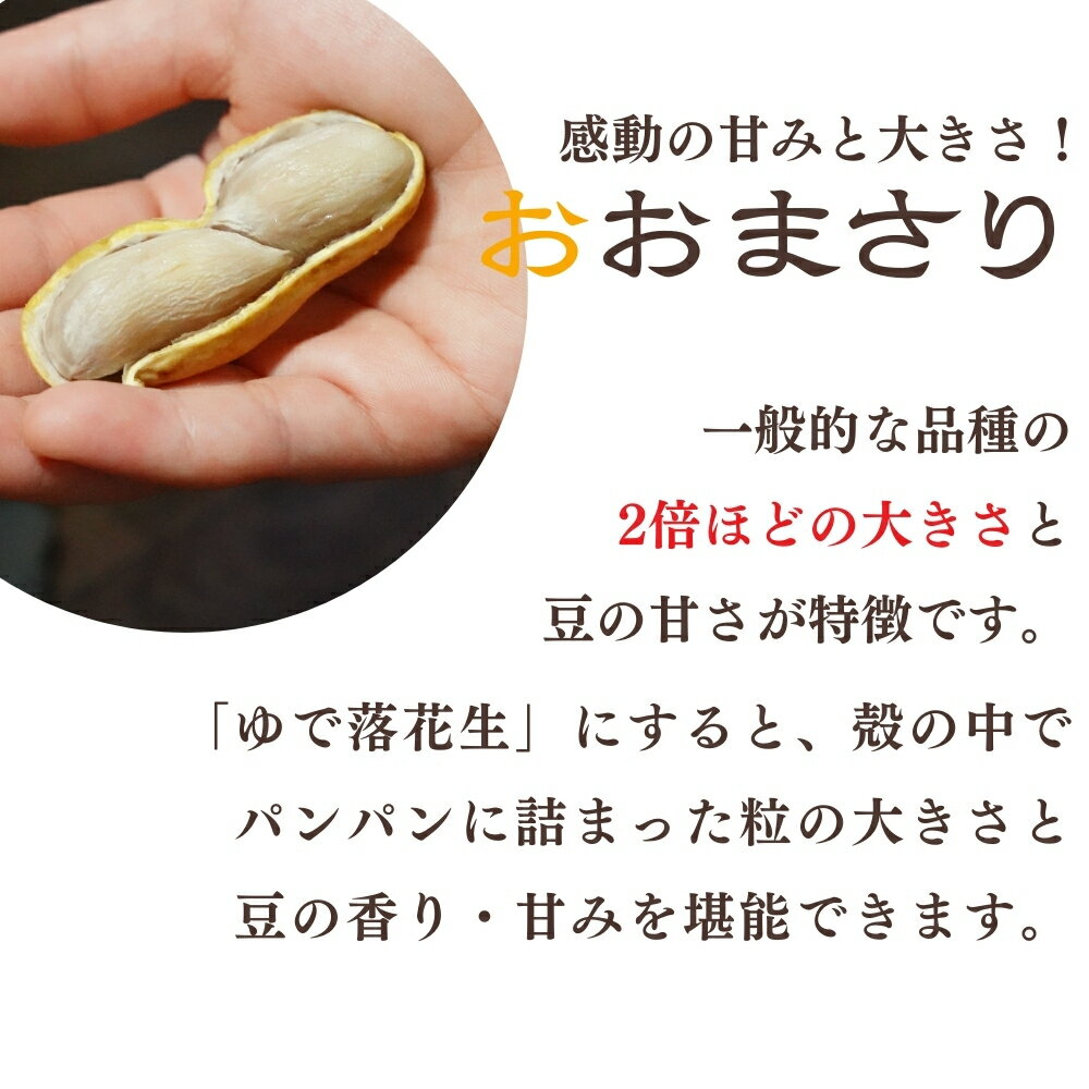 【ふるさと納税】八街産 落花生 3品種 食べ比べ 千葉半立 Qなっつ おおまさり 殻付き 味付きピーナッツ バタピー 茹で落花生 茹で レトルト らっかせい ピーナツ ピーナッツ おつまみ おすすめ 人気 健康 千葉 八街 千葉県産 八街市産 国産 美味しい 菓子 ギフト やちまた - 画像2