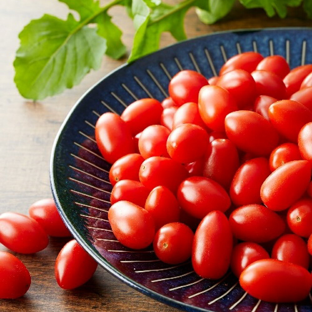 完熟ミニトマト シュガープラムギフト Cセット｜甘い プチトマト 野菜 フルーツ とまと ギフト プレゼント 贈答 お中元 お歳暮 [0232]