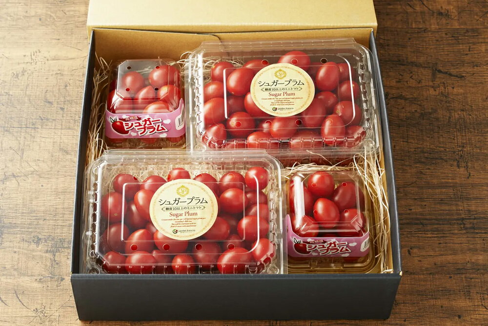 【ふるさと納税】完熟ミニトマト シュガープラムギフト Cセット｜甘い プチトマト 野菜 フルーツ とまと ギフト プレゼント 贈答 お中元 お歳暮 [0232] - 画像3