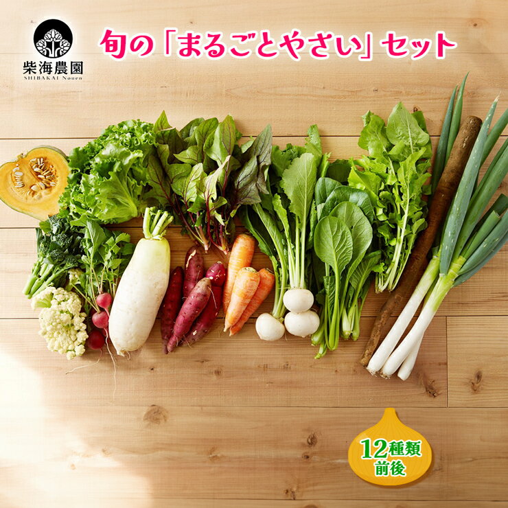 柴海農園 旬の「まるごとやさい」セット (12種類前後) [0222]