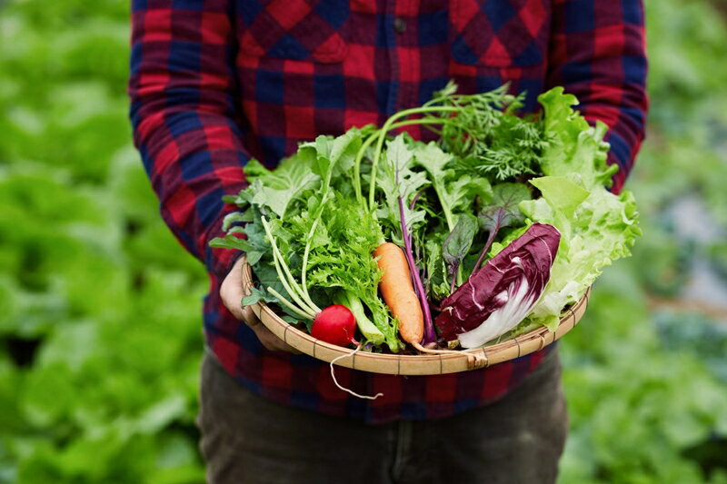 【ふるさと納税】柴海農園 旬の「まるごとやさい」セット (12種類前後) [0222] - 画像3