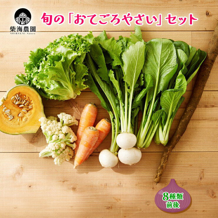 柴海農園 旬の「おてごろやさい」セット (8種類前後) [0225]