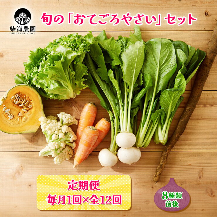 [定期便 毎月12回お届け] 柴海農園 旬の「おてごろやさい」セット (8種類前後) [0226]