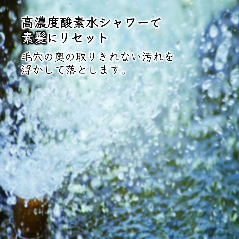 【ふるさと納税】身だしなみアップコース ヘッドスパ 高濃度酸素水 カット まゆカット 90分コース【メンズ限定】 サムネイル3