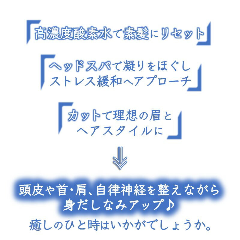 【ふるさと納税】身だしなみアップコース ヘッドスパ 高濃度酸素水 カット まゆカット 90分コース【メンズ限定】 サムネイル2