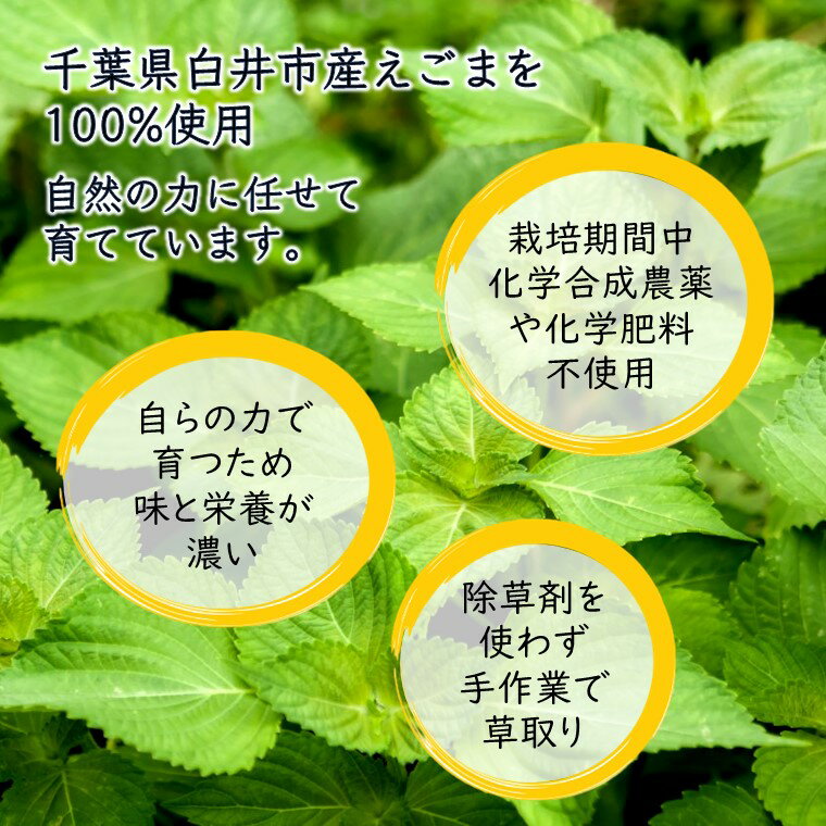 【ふるさと納税】えごま油 生搾り 非加熱圧搾法 国産えごま100% 栽培期間中 農薬不使用 化学肥料不使用 おすすめ オメガ3脂肪酸 必須脂肪酸 αリノレン酸 アルファリノレン酸 健康管理 サムネイル2