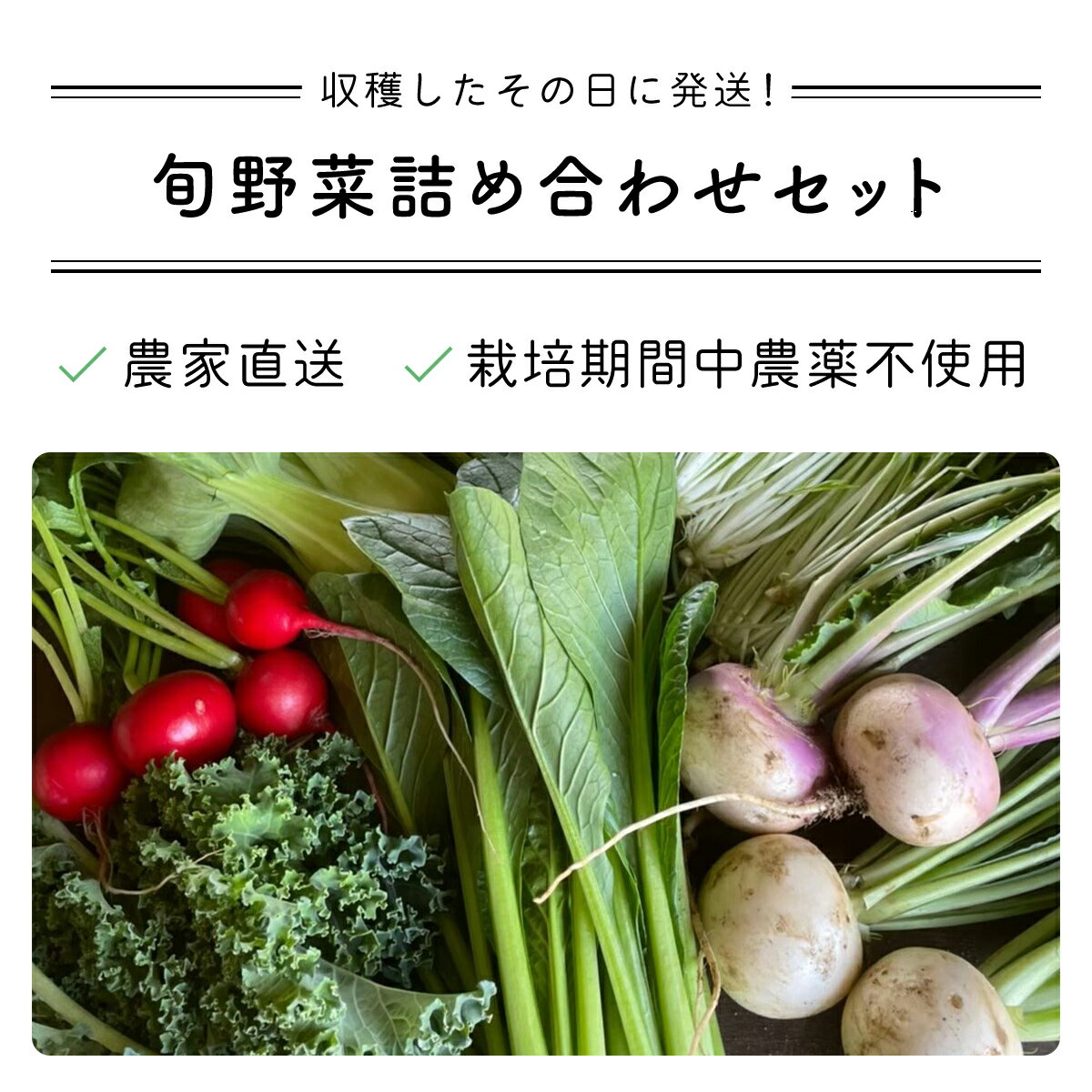 【ふるさと納税】【栽培期間中農薬不使用】 農家直送！「9品」季節の新鮮野菜詰め合わせセット AIBA FARM 野菜セット 無農薬 野菜 千葉県 富里市 直送野菜 お野菜セット 旬野菜 季節野菜 農家直送 採れたて とれたて やさい 詰め合わせ セット TML001 - 画像3