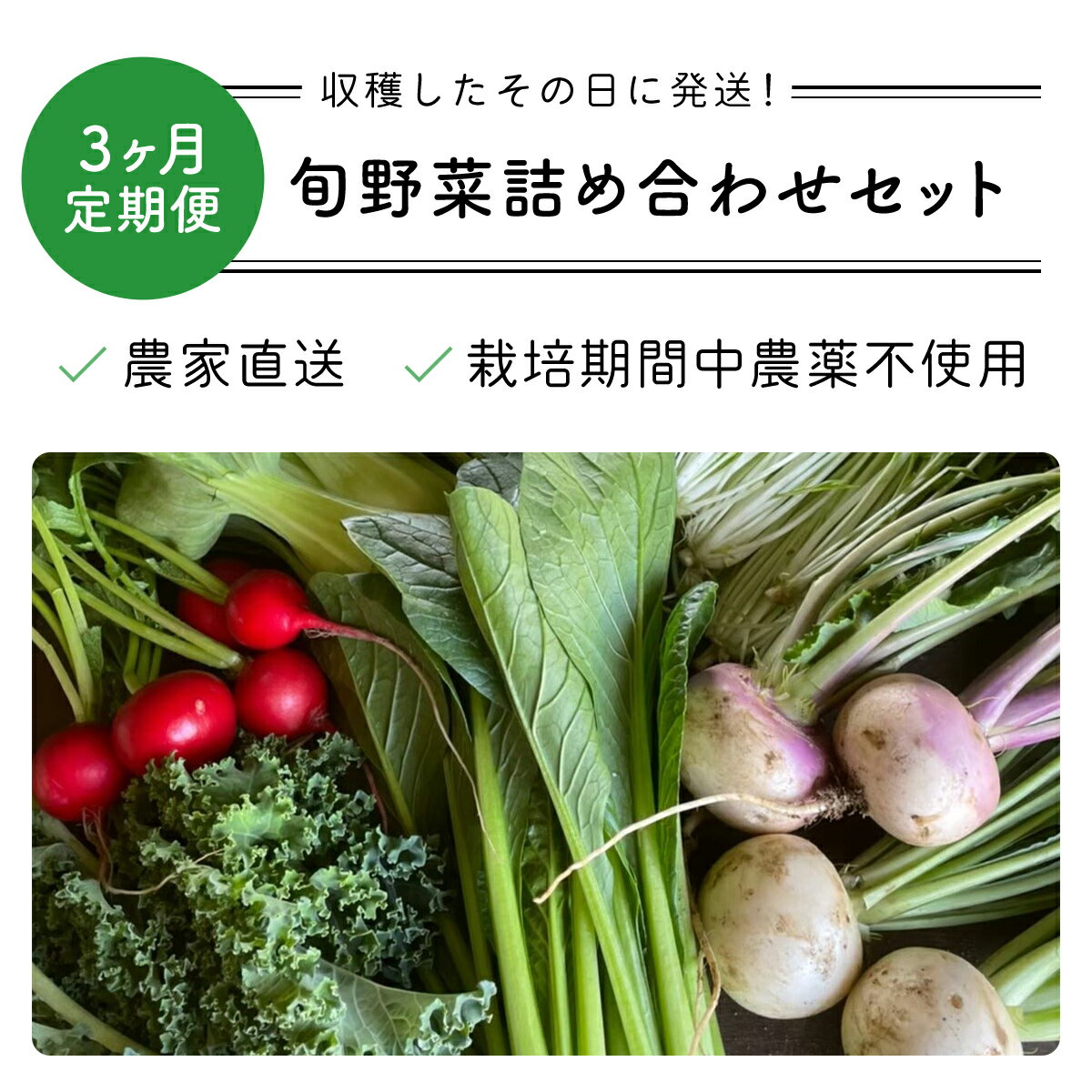 【ふるさと納税】 【3ヶ月 定期便】【栽培期間中農薬不使用】農家直送！「9品」季節の新鮮野菜詰め合わせセット AIBA FARM 野菜セット 無農薬 野菜 千葉県 富里市 直送野菜 お野菜セット 旬野菜 季節野菜 農家直送 採れたて とれたて やさい TML002 - 画像3