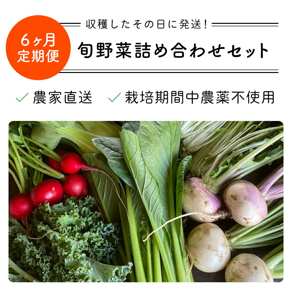 【ふるさと納税】 【6ヶ月 定期便】【栽培期間中農薬不使用】農家直送！「9品」季節の新鮮野菜詰め合わせセット AIBA FARM 野菜セット 無農薬 野菜 千葉県 富里市 直送野菜 お野菜セット 旬野菜 季節野菜 農家直送 採れたて とれたて やさい TML003 - 画像3