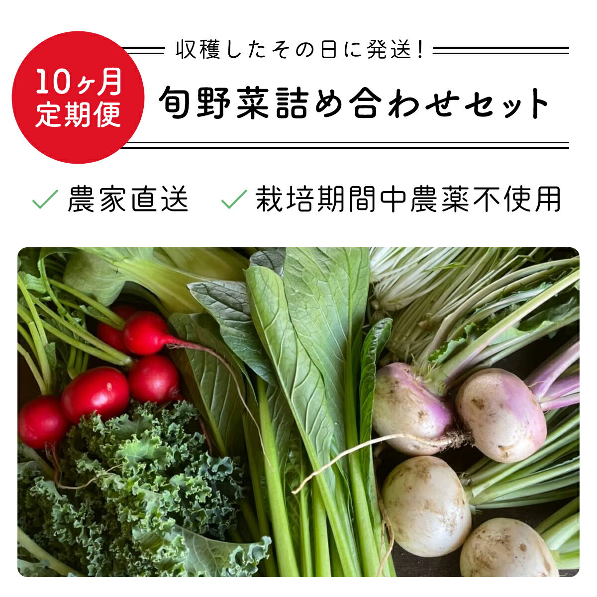 【ふるさと納税】 【10ヶ月 定期便】【栽培期間中農薬不使用】農家直送！「9品」季節の新鮮野菜詰め合わせセット AIBA FARM野菜セット 無農薬 野菜 千葉県 富里市 直送野菜 お野菜セット 旬野菜 季節野菜 農家直送 採れたて とれたて やさい TML004 - 画像3