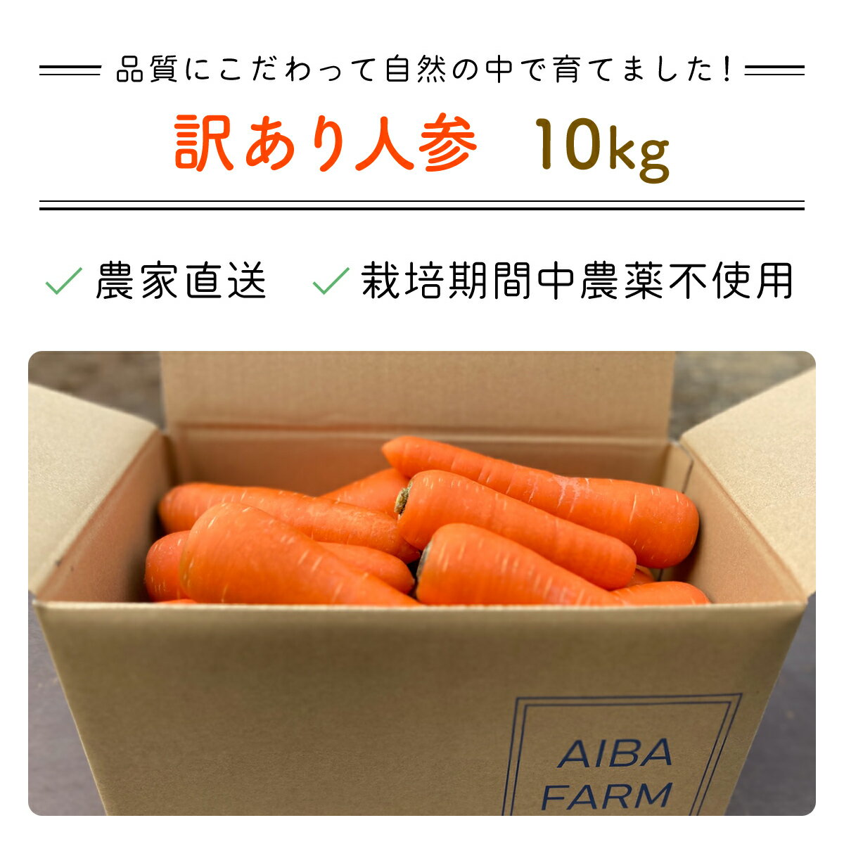 【ふるさと納税】【12月～2月発送】【栽培期間中農薬不使用】訳あり人参10kg AIBA FARM　B品 / 野菜 にんじん 人参 ニンジン 特産 甘い 訳あり 不揃い B級 organic フードロス 千葉県 富里市 TML007 - 画像3