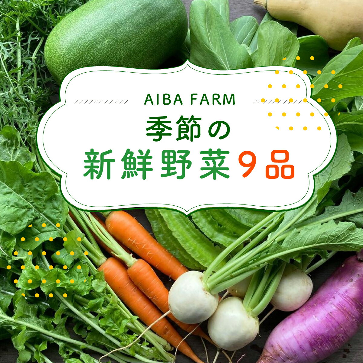 【栽培期間中農薬不使用】 農家直送！「9品」季節の新鮮野菜詰め合わせセット AIBA FARM 野菜セット 無農薬 野菜 千葉県 富里市 直送野菜 お野菜セット 旬野菜 季節野菜 農家直送 採れたて とれたて やさい 詰め合わせ セット TML001