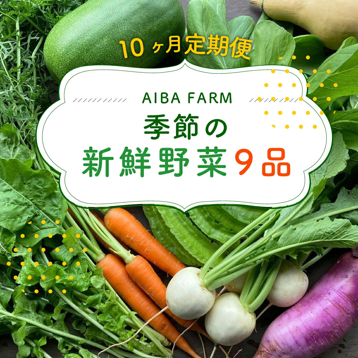 【10ヶ月 定期便】【栽培期間中農薬不使用】農家直送！「9品」季節の新鮮野菜詰め合わせセット AIBA FARM野菜セット 無農薬 野菜 千葉県 富里市 直送野菜 お野菜セット 旬野菜 季節野菜 農家直送 採れたて とれたて やさい TML004