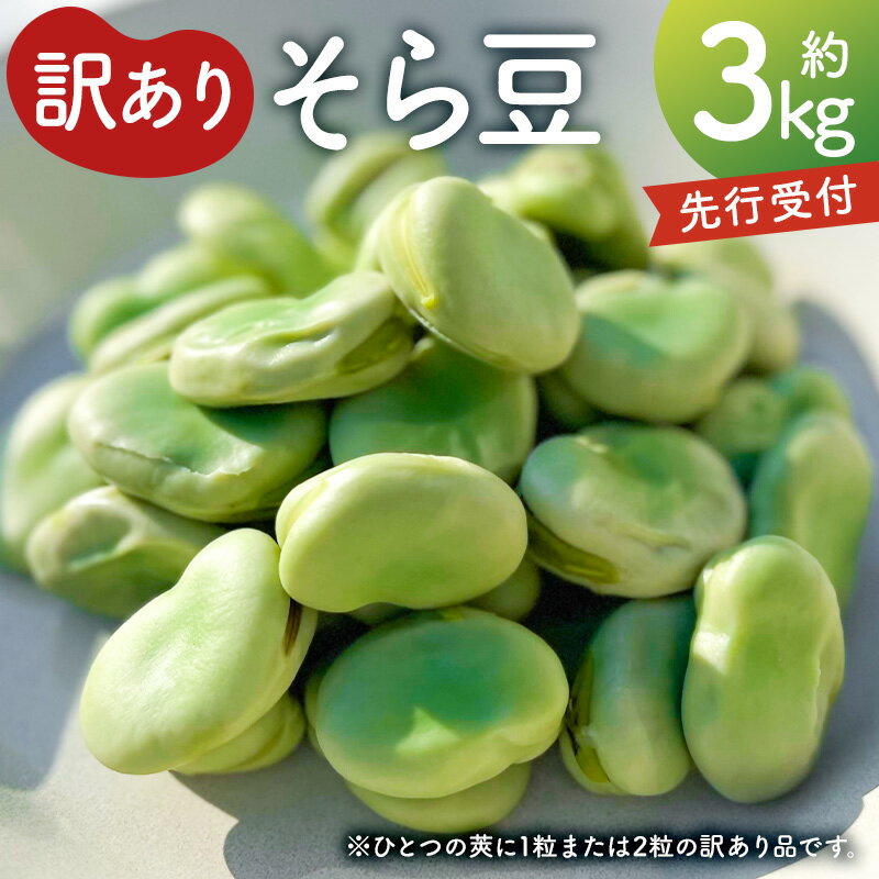 【先行受付2026年4月下旬よりお届け】（訳あり）そら豆3kg 千葉県 南房総市 野菜 旬 新鮮 香り 甘み シンプル 塩茹で そら豆ご飯 パスタ 春巻き ポタージュ 天ぷら フリット アヒージョ おつまみ 送料無料