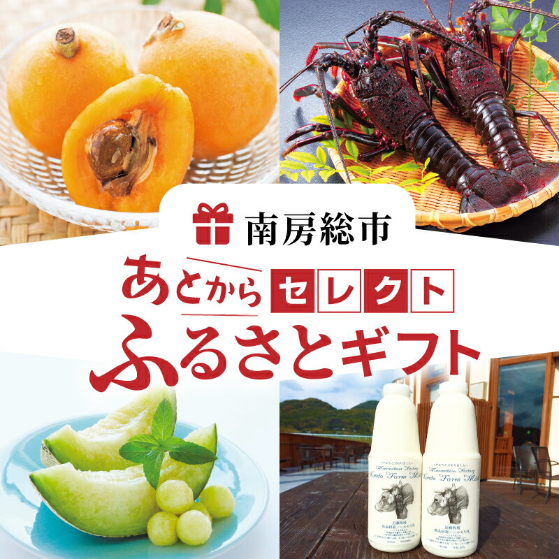 【金額が選べる】あとからセレクト【ふるさとギフト】 千葉県 南房総市 伊勢海老 魚介 海の幸 海鮮 果物 野菜 生鮮品 工芸品 お取り寄せ グルメ 送料無料
