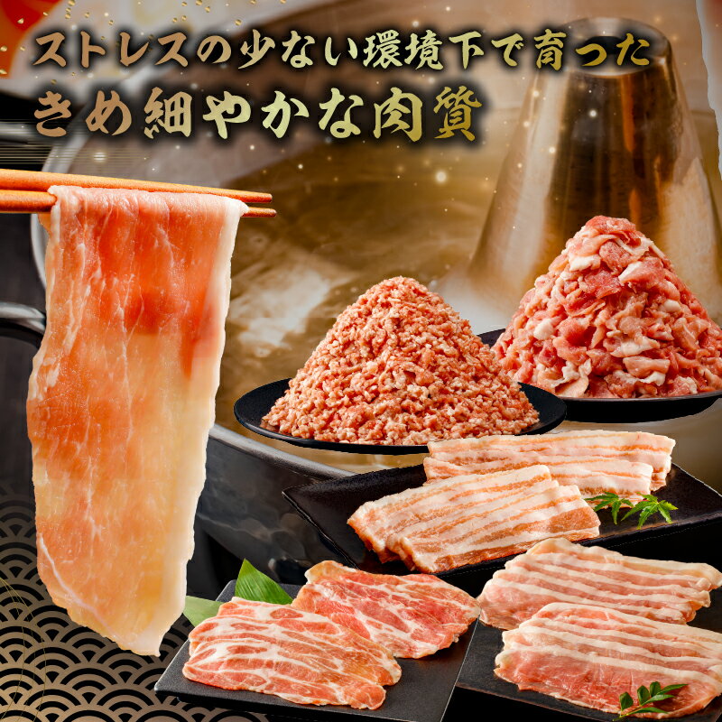 【ふるさと納税】 房総ブランド豚（里見和豚）4kg以上 小分け5種 計37パック 千葉県 南房総市 豚肉 ブランド豚 国産 こま切れ 切り落とし モモ ロース バラ 挽肉 セット バラエティ 真空パック トレイ不使用 甘い脂 送料無料 サムネイル3