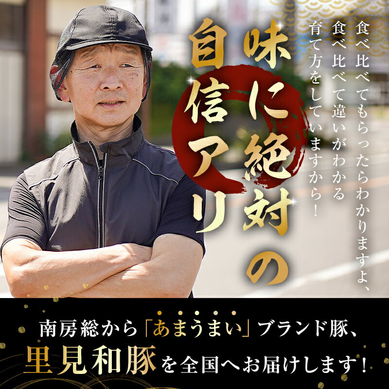 【ふるさと納税】 房総ブランド豚（里見和豚）4kg以上 小分け5種 計37パック 千葉県 南房総市 豚肉 ブランド豚 国産 こま切れ 切り落とし モモ ロース バラ 挽肉 セット バラエティ 真空パック トレイ不使用 甘い脂 送料無料 サムネイル2