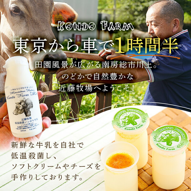 【ふるさと納税】近藤牧場のクレマカタラーナ 330g×1個 冷凍プリン・カタラーナ 千葉県 南房総市 お菓子 デザート スイーツ おやつ 乳製品 プリン フローズンデザート 濃厚 クリーミー 洋菓子 甘味 クリームブリュレ 送料無料 - 画像2