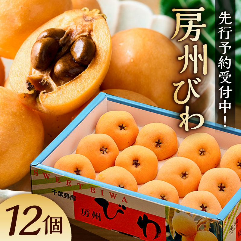 【先行受付 2026年5月下旬～6月中旬発送予定】房州びわ(露地)12粒入2Lサイズ以上1箱 枇杷 皇室献上品 千葉県 南房総市 甘み 酸味 瑞々しい 常温 フルーツ 新鮮 果物 肉厚 大粒 ご贈答品 送料無料