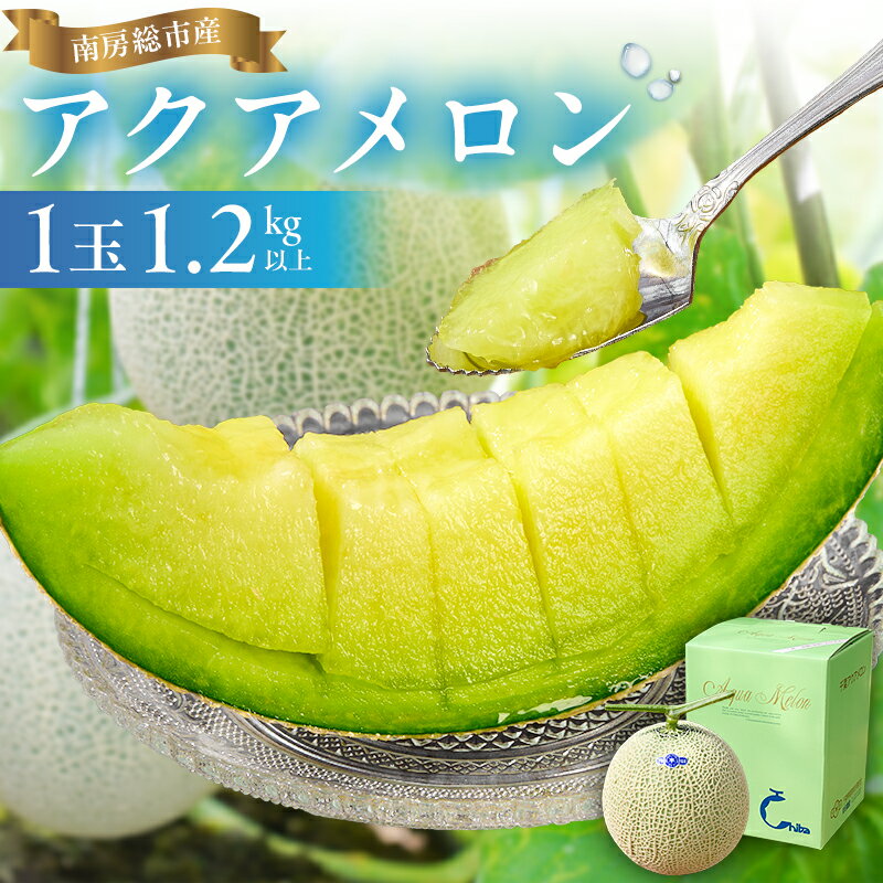 【TVで紹介！】南房総市産アクアメロン（マスクメロン）1個 高評価レビュー 高級品 厳選 メロン 化粧箱入り フルーツ 果物 デザート 農園 千葉県 南房総市 お取り寄せ グルメ 送料無料