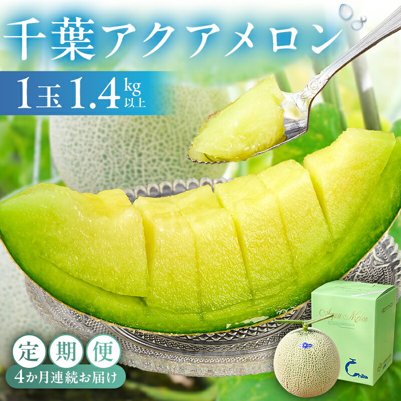 【定期便】【TVで紹介！】千葉アクアメロン1玉（1.4Kg）【4か月連続お届け】 高評価レビュー 人気 高級品 厳選 メロン 化粧箱入り フルーツ 果物 デザート 農園 千葉県 南房総市 お取り寄せ グルメ 送料無料