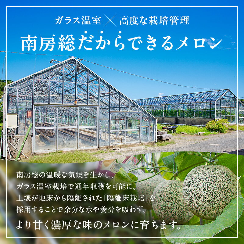 【ふるさと納税】 お漬物にぴったり　安田農園の摘果メロン（子メロン） 千葉県 南房総市 お取り寄せグルメ お取り寄せ 送料無料 サムネイル2