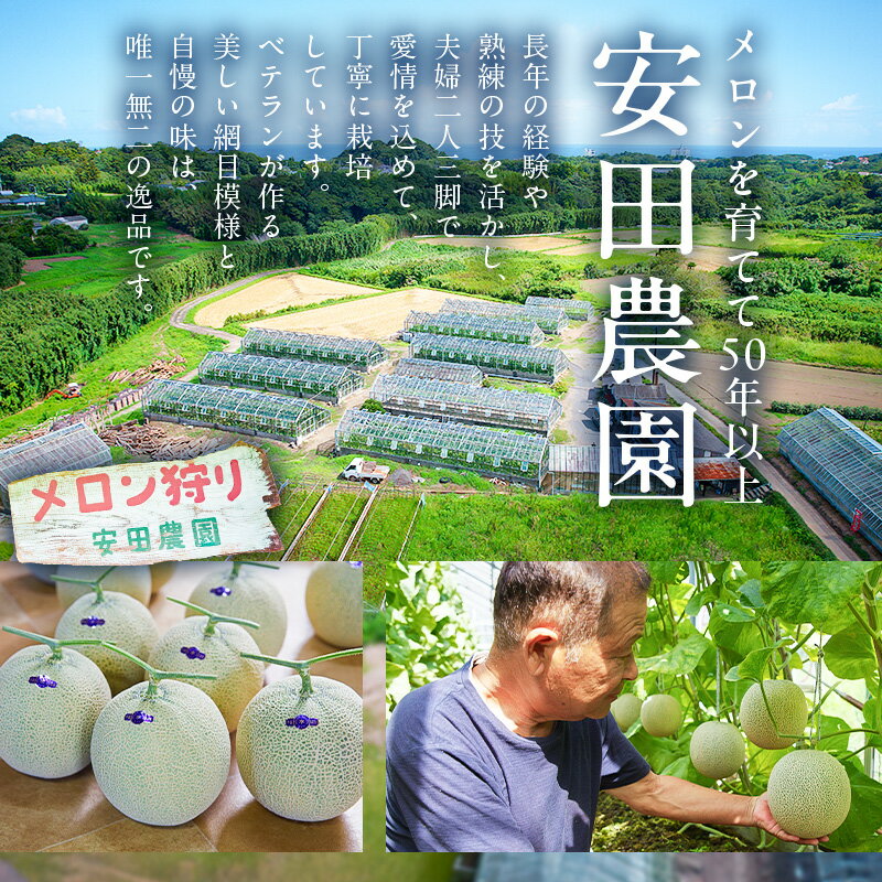 【ふるさと納税】 お漬物にぴったり　安田農園の摘果メロン（子メロン） 千葉県 南房総市 お取り寄せグルメ お取り寄せ 送料無料 サムネイル3