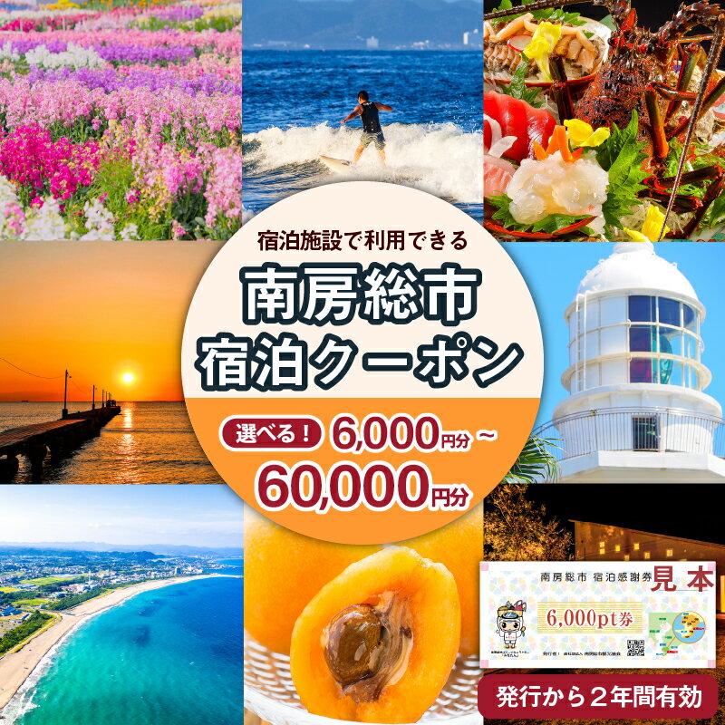 【枚数が選べる】 南房総市 宿泊施設で利用できる 感謝券 旅行 チケット 関東 千葉 旅行券 宿泊券 商品券 リゾート 宿泊 海 サーフィン 自然 観光 あわび 海鮮 伊勢海老 海老 海産物 フルーツ 野菜 温泉 民宿 旅館 ホテル ギフト