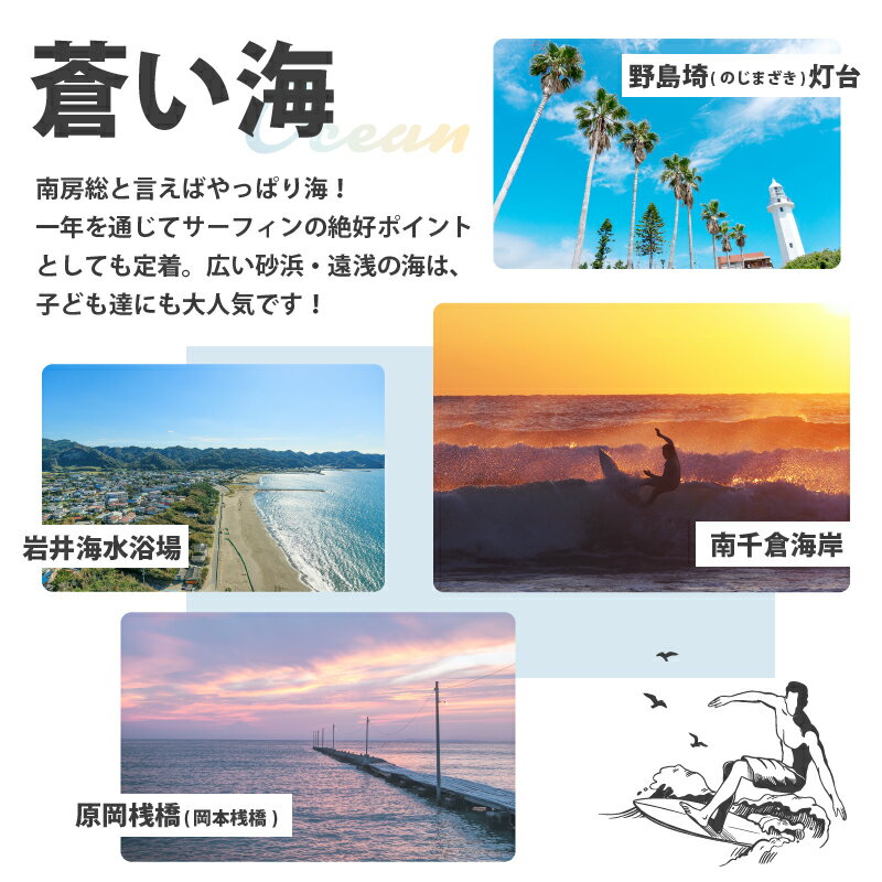 【ふるさと納税】【枚数が選べる】 南房総市 宿泊施設で利用できる 感謝券 旅行 チケット 関東 千葉 旅行券 宿泊券 商品券 リゾート 宿泊 海 サーフィン 自然 観光 あわび 海鮮 伊勢海老 海老 海産物 フルーツ 野菜 温泉 民宿 旅館 ホテル ギフト サムネイル3
