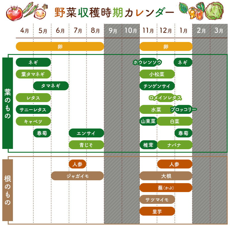 【ふるさと納税】【配送月が選べる】 農薬・化学肥料を持たない農家の野菜（7〜10種類）と 平飼有精卵のセット 千葉県 南房総市 旬 指定野菜 卵 加工品 果物 蒟蒻 味噌 露地栽培 自家栽培 鶏卵 農業 農家 キャベツ きゅうり さといも 大根 送料無料 - 画像2