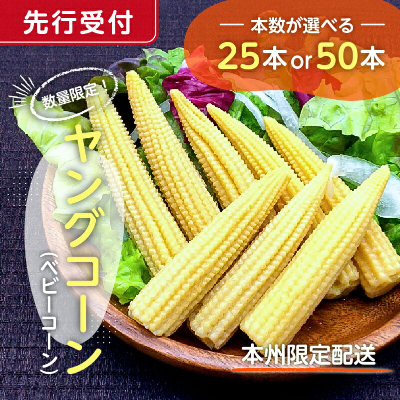 【先行受付 2026年6月上旬～7月中旬発送予定】数量限定！ヤングコーン(ベビーコーン） 【本数が選べる】 千葉県 南房総市 野菜 バター醤油 炒め物 皮付き 髭付き サラダ 生野菜 コーン お取り寄せ グルメ 送料無料