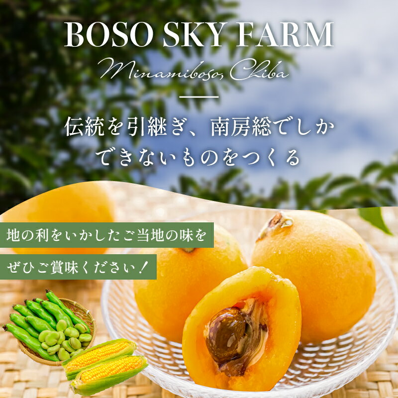 【ふるさと納税】 【先行受付 2026年6月上旬～7月中旬発送予定】数量限定！ヤングコーン(ベビーコーン） 【本数が選べる】 千葉県 南房総市 野菜 バター醤油 炒め物 皮付き 髭付き サラダ 生野菜 コーン お取り寄せ グルメ 送料無料 - 画像3