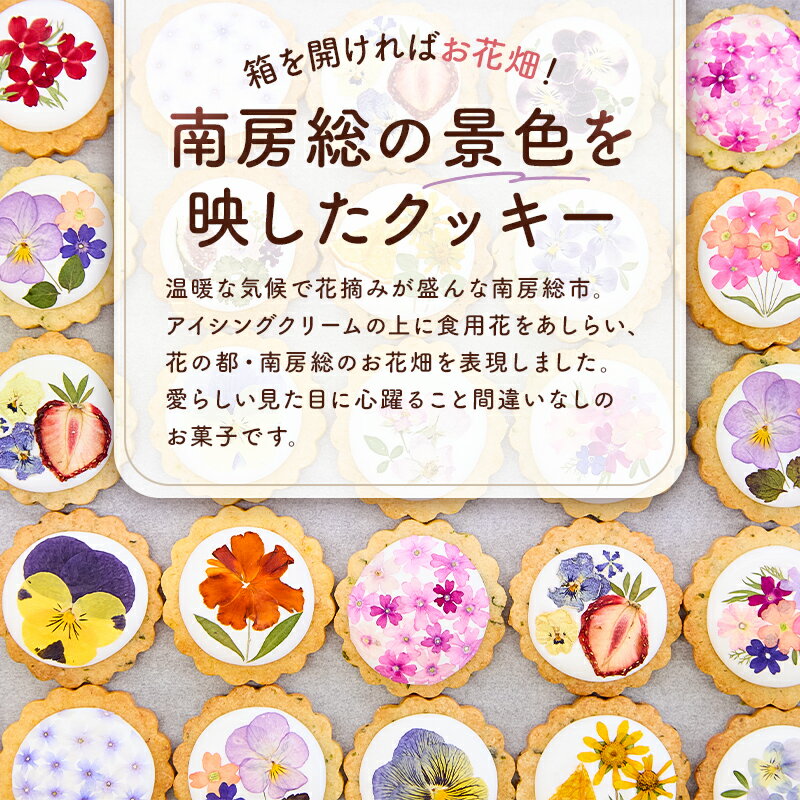 【ふるさと納税】 【選べるセット枚数】 南房総まるごとクッキー（カレンデュラ＆レモン、菜の花＆落花生） 千葉県 南房総市 押し花クッキー お花畑 綺麗 エディブルフラワー 手作り 焼き菓子 洋菓子 スイーツ お菓子 送料無料 - 画像2