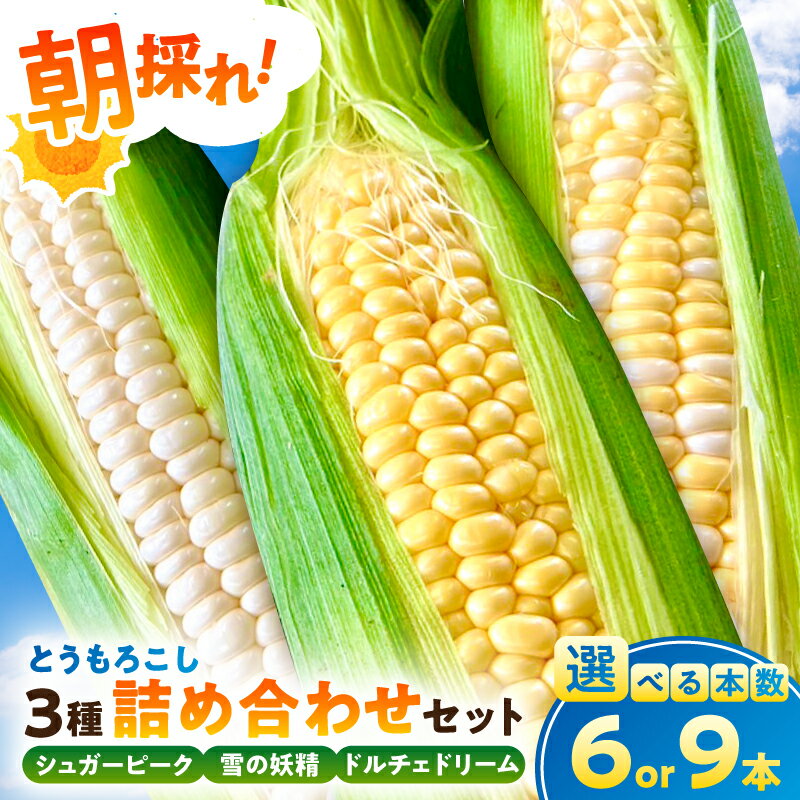 【本数が選べる】【先行受付 2026年6月中旬～8月上旬発送予定】【千葉県産】朝採れとうもろこし3種詰め合わせセット 千葉県 南房総市 野菜 野菜 旬 皮付き とうもろこし コーン お取り寄せ グルメ 送料無料