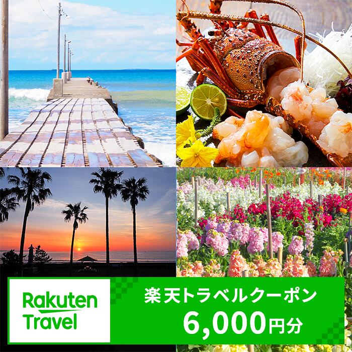 千葉県 南房総市 の対象施設で使える 楽天トラベルクーポン 寄付額20,000円 【6,000円分クーポン】 トラベル 旅行 観光 宿泊 ドライブ 海鮮 魚介 伊勢海老 あわび サザエ 花 フラワー レンタサイクル サイクリング 道の駅